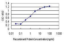 Anti-FOXA1 Mouse monoclonal antibody [clone: 2D7]