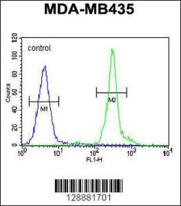 Anti-GFRAL Rabbit Polyclonal Antibody (HRP (Horseradish Peroxidase))