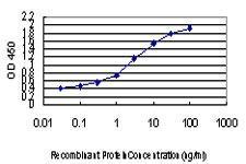 Anti-FOXA2 Mouse monoclonal antibody [clone: 1C7]