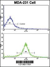 Anti-ULK3 Rabbit Polyclonal Antibody