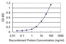 Anti-PDIA5 Mouse Monoclonal Antibody [clone: 3A3]