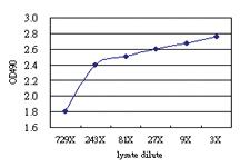 Anti-NPC2 Antibody Pair