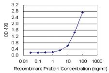 Anti-SPP1 Mouse Monoclonal Antibody (Biotin)