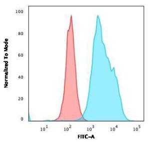 Flow cytometric analysis of Raji cells using Anti-CD20 Antibody [MS4A1/3411] followed by Goat Anti-Mouse IgG (CF&#174; 488) (Blue) Isotype Control (Red)