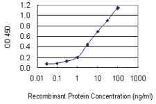 Anti-ATP6AP1 Mouse Monoclonal Antibody [clone: 3A2]