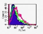 Anti-TNFRSF18 Rat Monoclonal Antibody [clone: DTA-1]