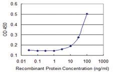 Anti-MOSPD3 Mouse Monoclonal Antibody [clone: 1H6]