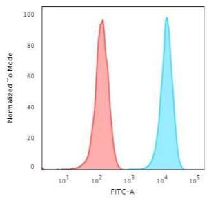 Flow cytometric analysis of Jurkat cells using Anti-CD3 epsilon Antibody [UCHT1] followed by Goat Anti-Mouse IgG (CFand#174; 488) (Blue). Isotype Control (Red)