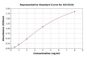 Representative standard curve for human p92 ELISA kit (A313516)