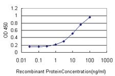 Anti-HDAC1 Mouse Monoclonal Antibody [clone: 5A11]