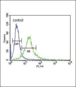 Anti-XRCC6 Rabbit Polyclonal Antibody (Biotin)