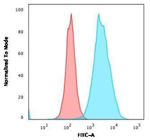 Anti-CD20 antibody