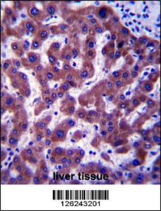 Anti-MSMO1 Rabbit Polyclonal Antibody (Biotin)