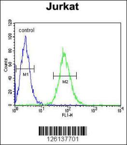 Anti-GGNBP2 Rabbit Polyclonal Antibody (HRP (Horseradish Peroxidase))