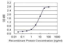 Anti-PEBP1 Mouse Monoclonal Antibody (Biotin)