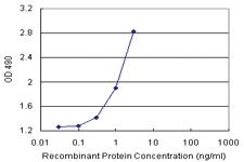 Anti-SCGN Antibody Pair