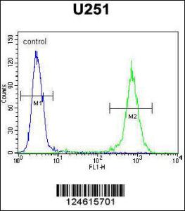 Anti-GGTLC2 Rabbit Polyclonal Antibody