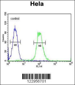 Anti-XRCC6 Rabbit Polyclonal Antibody (HRP (Horseradish Peroxidase))