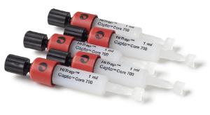 Multimodal chromatography columns