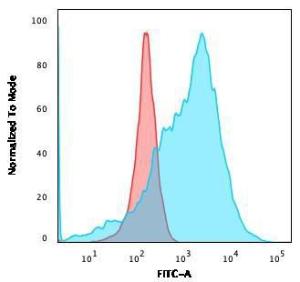 Flow cytometric analysis of K562 cells using Anti-GLUT1 Antibody [GLUT1/3132R] followed by Goat Anti-Rabbit IgG (CF&#174; 488) (Blue). Isotype Control (Red).