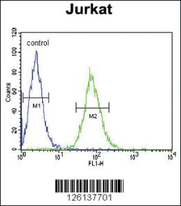 Anti-GGNBP2 Rabbit Polyclonal Antibody