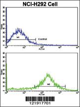 Anti-PPM1A Rabbit Polyclonal Antibody