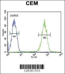 Anti-FADS2 Rabbit Polyclonal Antibody