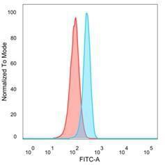 Anti-SMARCC1 antibody