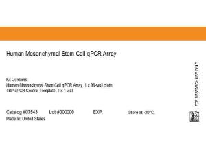 Human mesenchymal stem cell qPCR Array