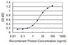 Anti-CDKN2D Mouse Monoclonal Antibody [clone: 2E10]