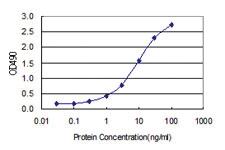 Anti-PIH1D1 Polyclonal Antibody Pair