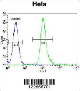 Anti-VIM Rabbit Polyclonal Antibody (HRP (Horseradish Peroxidase))