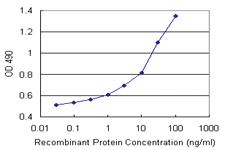 Anti-POLR3K Antibody Pair