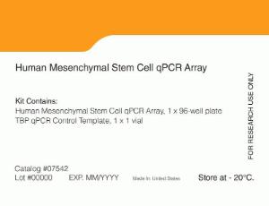 Human mesenchymal stem cell qPCR Array