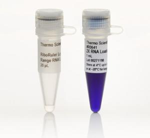 FERMSM1831 - RIBORULER LOW RANGE RNA LADDER 5X20µL