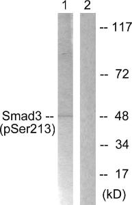 Anti-Smad3