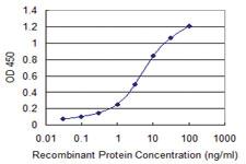 Anti-ORC3 Mouse Monoclonal Antibody [clone: 1G1]