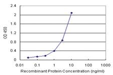 Anti-EEF1G Antibody Pair