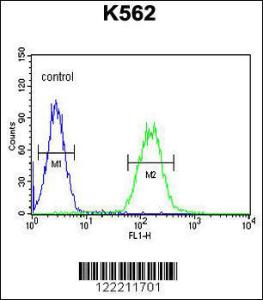 Anti-CNGA2 Rabbit Polyclonal Antibody (AP (Alkaline Phosphatase))