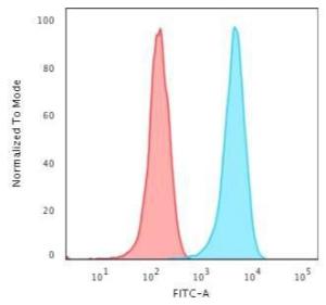 Flow cytometric analysis of Jurkat cells using Anti-CD3 epsilon Antibody [CRIS-7] followed by Goat Anti-Mouse IgG (CF&#174; 488) (Blue). Isotype Control (Red)