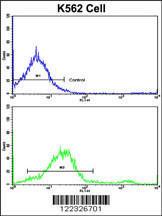 Anti-LPIN2 Rabbit Polyclonal Antibody (FITC (Fluorescein))