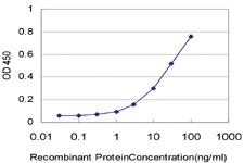 Anti-HRSP12 Mouse Monoclonal Antibody [clone: 2B8]