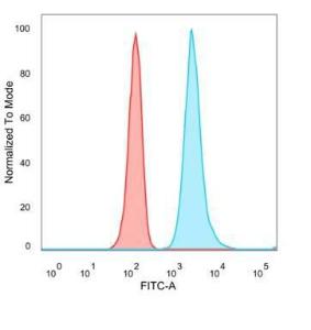 Immunofluorescent analysis of PFA-fixed HeLa cells stained with Anti-NOC4L Antibody [PCRP-NOC4L-1B2] followed by Goat Anti-Mouse IgG (CF&#174; 488) (Blue). Isotype Control (Red)