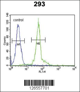 Anti-IFT172 Rabbit Polyclonal Antibody