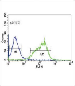 Anti-Glutaminase, Kidney Isoform, Mitochondrial Rabbit Polyclonal Antibody (FITC (Fluorescein))