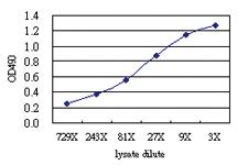 Anti-NRP1 Antibody Pair