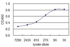 Anti-B2M Mouse Monoclonal Antibody (Biotin)