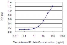 Anti-NUCKS1 Mouse Monoclonal Antibody [clone: 3G10]