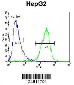 Anti-ZC3H12A Rabbit Polyclonal Antibody (HRP (Horseradish Peroxidase))