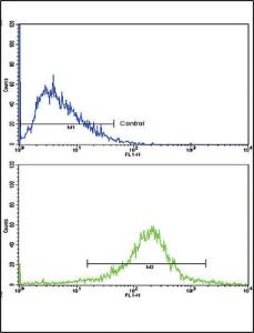 Anti-Lipoprotein Receptor-related Protein Associated Protein 1, Low Density Rabbit Polyclonal Antibody (Biotin)